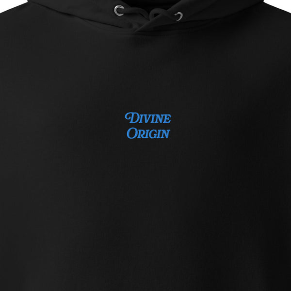000 Divine Origin Hoodie 100% Organic Cotton