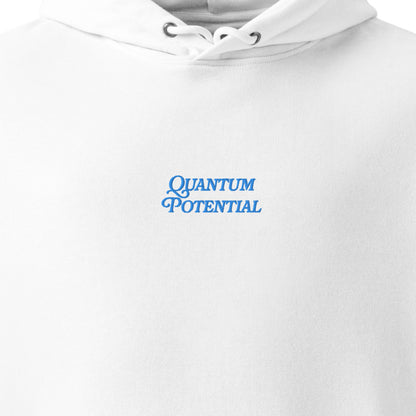 888 Quantum Potential Hoodie 100% Organic Cotton